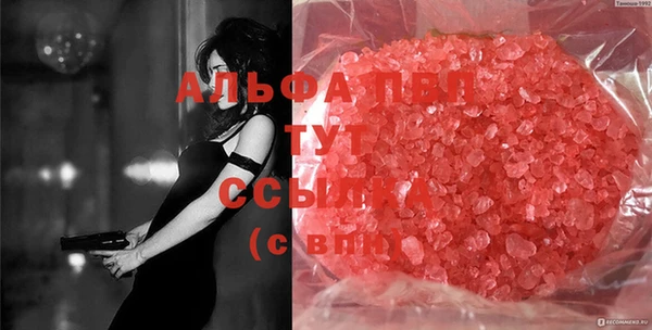 ECSTASY Бикин